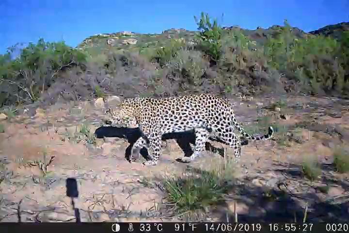 0 Bedroom Property for Sale in Piketberg Rural Western Cape